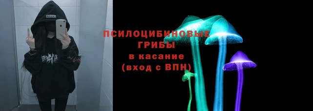 спиды Алексин