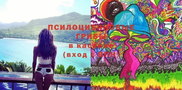 соль курить ск Алексеевка