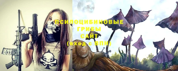 соль курить ск Алексеевка