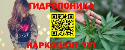 сатива Балаково