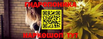 амф Кулебаки