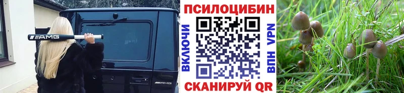 Галлюциногенные грибы мицелий  где продают   Дмитров 