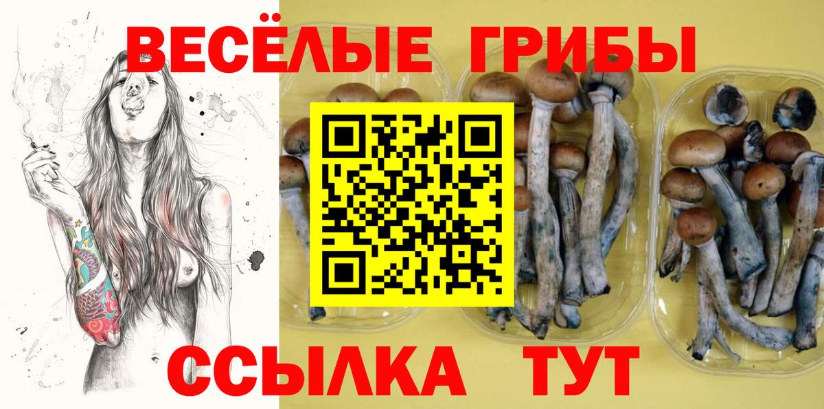 Псилоцибиновые грибы ЛСД Дмитров