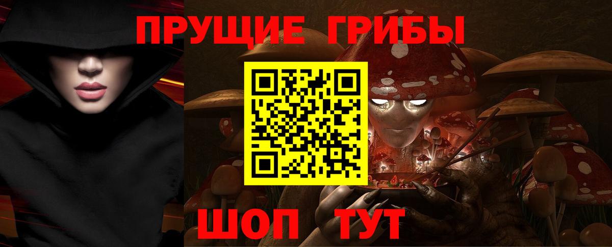 Дмитров  Псилоцибиновые грибы мухоморы  Псилоцибиновые грибы Cubensis  Вход с VPN 